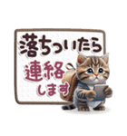 ねこちぃずneo★防災メッセージ（個別スタンプ：19）