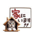 ねこちぃずneo★防災メッセージ（個別スタンプ：21）