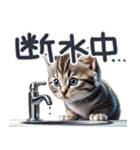 ねこちぃずneo★防災メッセージ（個別スタンプ：26）