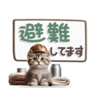 ねこちぃずneo★防災メッセージ（個別スタンプ：27）