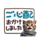 ねこちぃずneo★防災メッセージ（個別スタンプ：38）