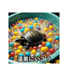 おとなな かめちゃん（個別スタンプ：13）