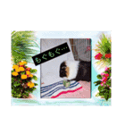 あっきんの猫＆モルモット（個別スタンプ：6）