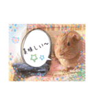 あっきんの猫＆モルモット（個別スタンプ：7）