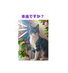 あっきんの愉快な仲間たち(猫)（個別スタンプ：23）