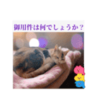 あっきんの愉快な仲間たち(猫)（個別スタンプ：26）