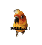 ひなと愉快な仲間達（個別スタンプ：7）