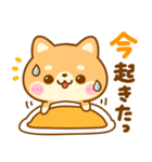 待ち合わせ連絡♡豆柴犬（個別スタンプ：6）