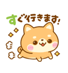 待ち合わせ連絡♡豆柴犬（個別スタンプ：8）