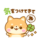 待ち合わせ連絡♡豆柴犬（個別スタンプ：13）