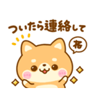 待ち合わせ連絡♡豆柴犬（個別スタンプ：16）