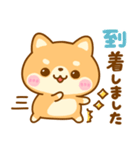 待ち合わせ連絡♡豆柴犬（個別スタンプ：20）