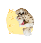 うちのシンちゃん2（個別スタンプ：7）