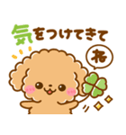 といぷー♡にゃんこ♡豆柴犬の待ち合わせ（個別スタンプ：13）