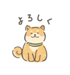 しばねこスタンプ（個別スタンプ：1）