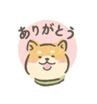 しばねこスタンプ（個別スタンプ：12）