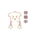 推し活わんちゃん♩白い犬（個別スタンプ：7）