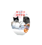 にゃ～んSticker(桜月＆ホームズ）秋（個別スタンプ：1）