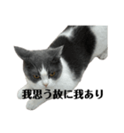 哲学的ハナコ（個別スタンプ：2）