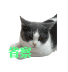 哲学的ハナコ（個別スタンプ：3）