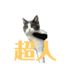 哲学的ハナコ（個別スタンプ：4）