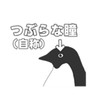 キンベンなペンギン3（個別スタンプ：26）