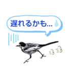 早歩き鳥のハクセキレイ5（去り際の…！）（個別スタンプ：27）