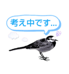 早歩き鳥のハクセキレイ5（去り際の…！）（個別スタンプ：36）