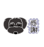 ずっと好き黒シュナ（個別スタンプ：10）