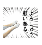 人間の様な柴（個別スタンプ：23）