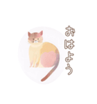 ふわっと猫（個別スタンプ：2）