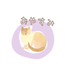 ふわっと猫（個別スタンプ：3）