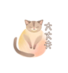 ふわっと猫（個別スタンプ：8）