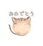 ふわっと猫（個別スタンプ：16）