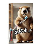 ⚫ボバクマーモット3⭐40匹セット（個別スタンプ：13）