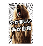 ⚫ボバクマーモット3⭐40匹セット（個別スタンプ：24）