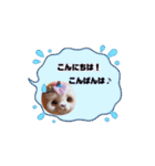 ユニクマちゃんのスタンプ1（個別スタンプ：3）