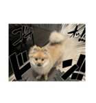 かぎしっぽめらにあんのうるちゃんだよ（個別スタンプ：37）