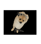 かぎしっぽめらにあんのうるちゃんだよ（個別スタンプ：38）