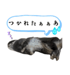 あんちゃんno2（個別スタンプ：10）