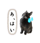 あんちゃんno2（個別スタンプ：11）