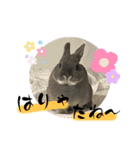 あんちゃんno2（個別スタンプ：18）