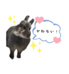 あんちゃんno2（個別スタンプ：19）