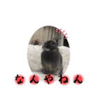 あんちゃんno2（個別スタンプ：21）