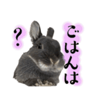 あんちゃんno2（個別スタンプ：24）