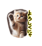 ネオねこまる（個別スタンプ：14）