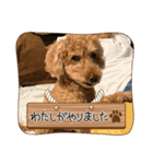 えんどうまろんくん（個別スタンプ：1）