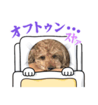 えんどうまろんくん（個別スタンプ：3）