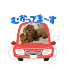 えんどうまろんくん（個別スタンプ：4）