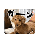 えんどうまろんくん（個別スタンプ：6）